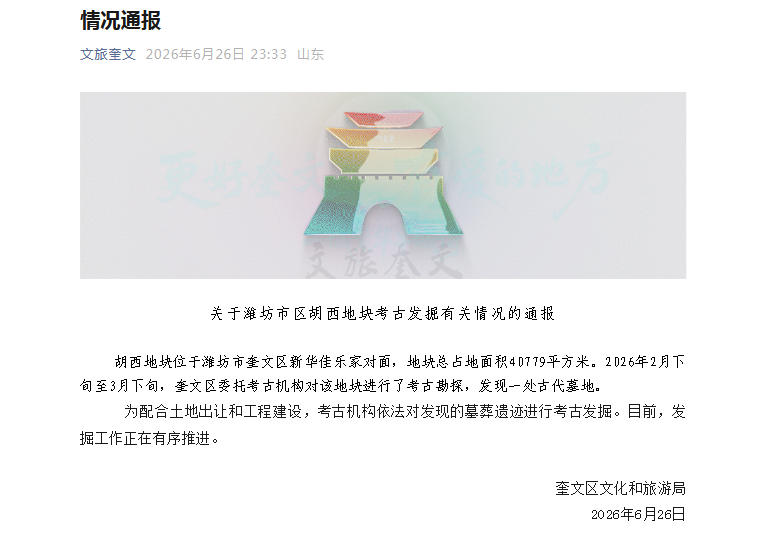 征途国际